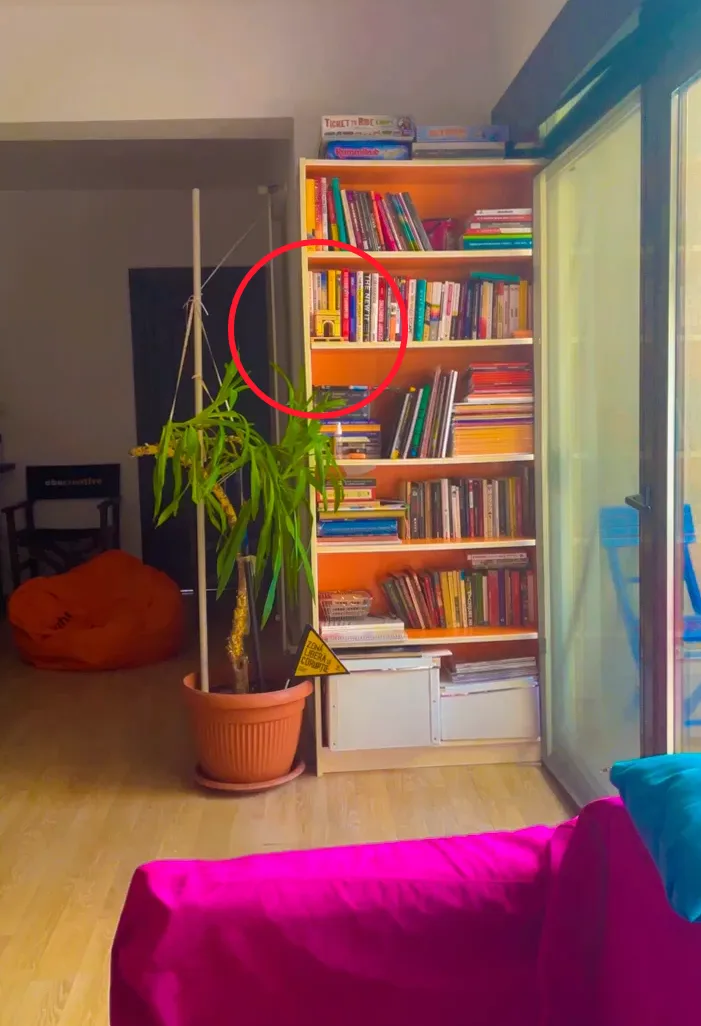 Postare Instagram makete